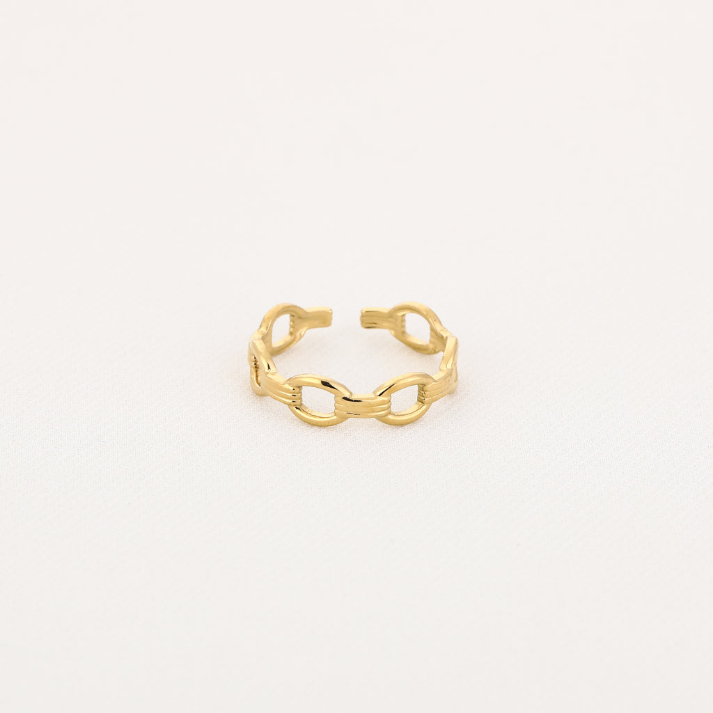 schakel ring
